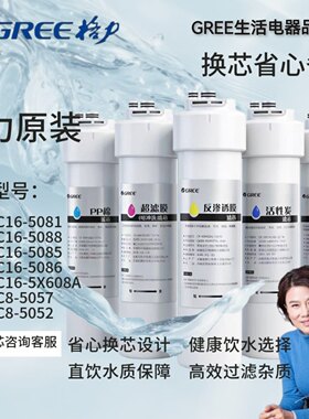 净水器滤芯家用直饮反渗透3年免换滤芯纯水机WTE-PC16-5081