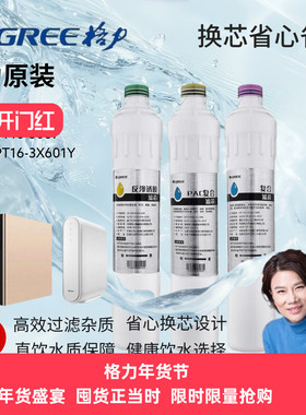 格力净水器滤芯WTE-PT16-3087/3X601Y/净饮一体机滤芯原装正品