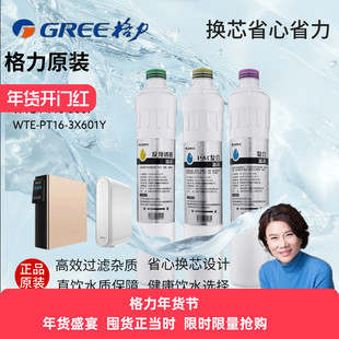 格力净水器滤芯WTE-PT16-3087/3X601Y/净饮一体机滤芯原装正品