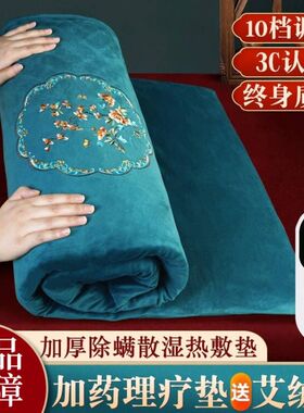 电加热艾灸垫艾草电热毯全身灸家用艾绒理疗热敷包高档电褥子床垫