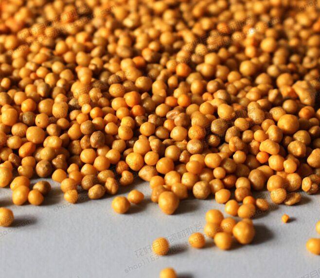 钱家花园 园艺用肥 花多多 奥绿肥5号颗粒 缓释肥  从 不伤苗