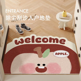 卡通家用进门地垫高级感入户门垫玄关门口丝圈蹭土耐磨防滑脚垫子