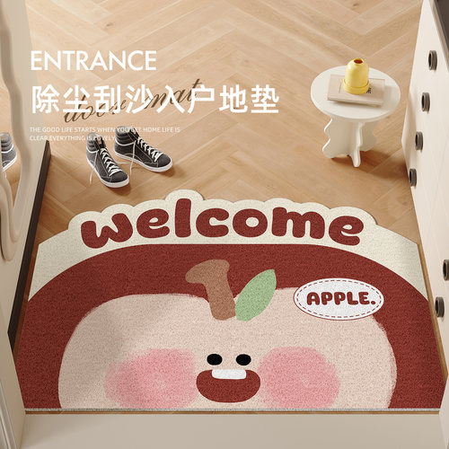 卡通家用进门地垫高级感入户门垫玄关门口丝圈蹭土耐磨防滑脚垫子