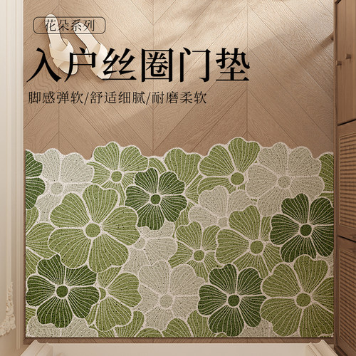 入户门地垫门口进门脚垫可裁剪丝圈进户门垫轻奢高级可擦防滑地毯