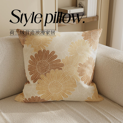 家用简约沙发抱枕套不含芯民宿客厅卧室装饰靠枕垫双面印花大靠垫