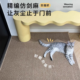 入户门地垫仿剑麻地毯门垫进门大门口入门门外地毯玄关脚垫可裁剪