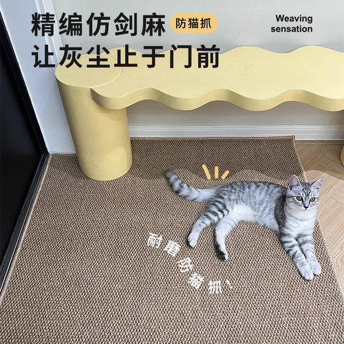 慢说剑麻耐脏防滑入户垫