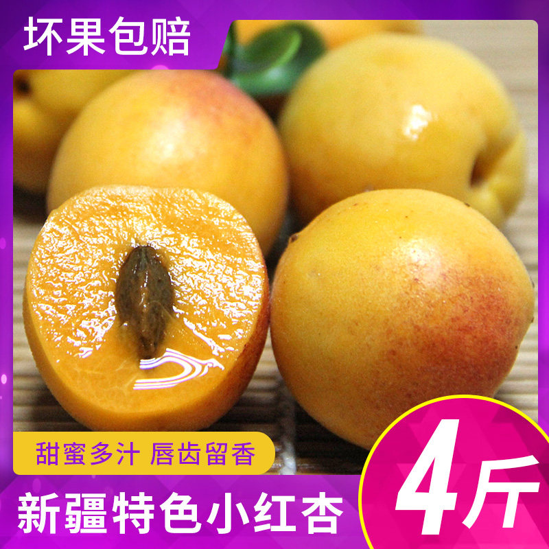 新疆小红杏疆特产吊干杏新鲜水果新蜜甜杏应当季4斤杏子包邮顺丰|msdalam kategori daging perikanan/Buah-buahan segar dan sayur-sayuran/dimasak, buah-buahan segar, lain - dari Buy2taobao.com untuk memberikan perkhidmatan ejen Taobao profesional membeli