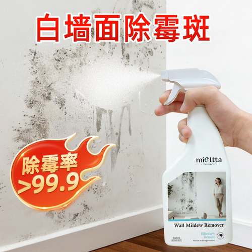 【老爸测试】高效除霉喷雾