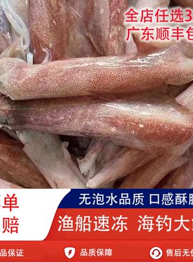 海钓大鱿鱼无泡水鲜活冷冻海鲜小大枪乌贼章鱼海兔子新鲜大笔管鱼