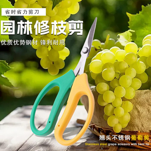 不锈钢蔬果翘头剪树枝剪摘果剪尖头阳光玫瑰葡萄蔬果剪直头平头