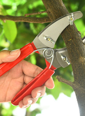 园林环切刀小环剥剪果树环割剪刀环割刀环割剪环剥剪割树皮剪刀