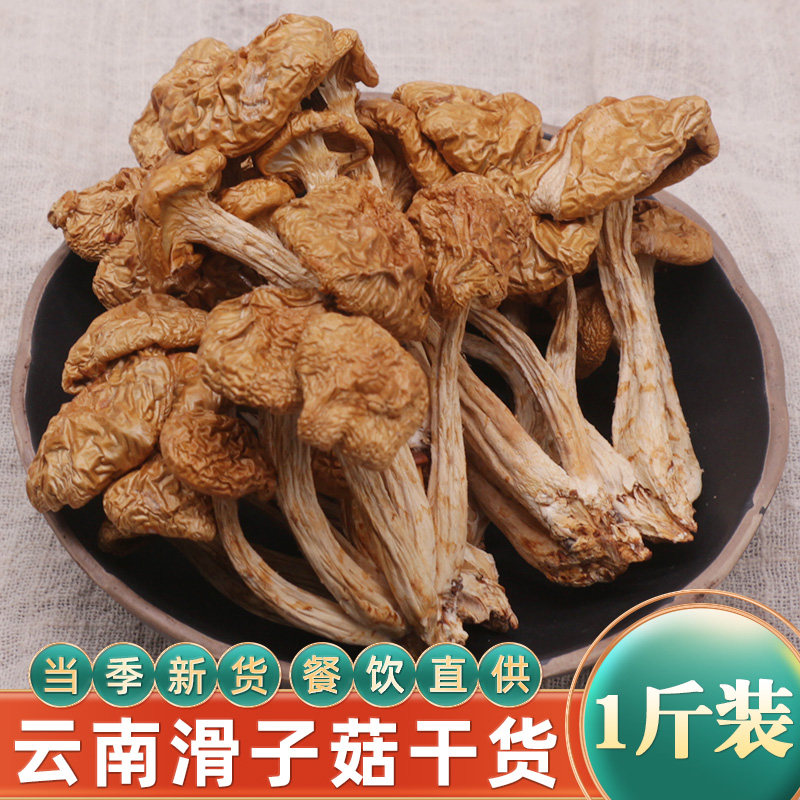 滑子菇干货500g特级野生云南滑菇香菇小鸡炖蘑菇滑子姑小黄菇煲汤