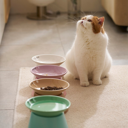 麻薯猫碗猫食盆陶瓷高脚保护颈椎喝水碗小型犬狗碗狗盆防打翻粮碗