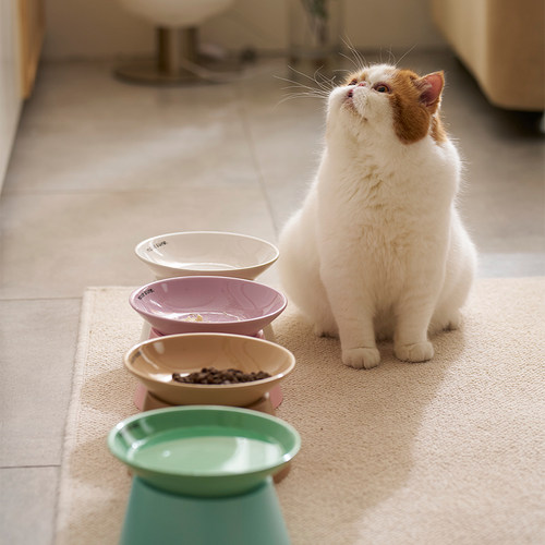 麻薯猫碗狗碗宠物碗陶瓷