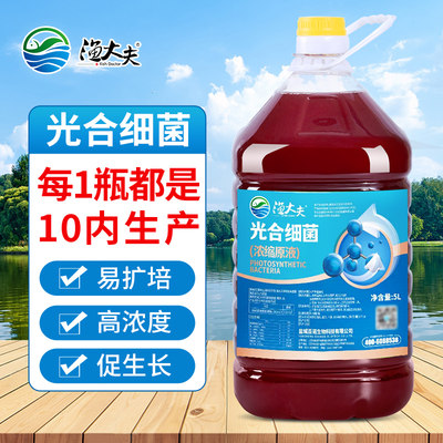 光合细菌菌种水产养殖专用净化水