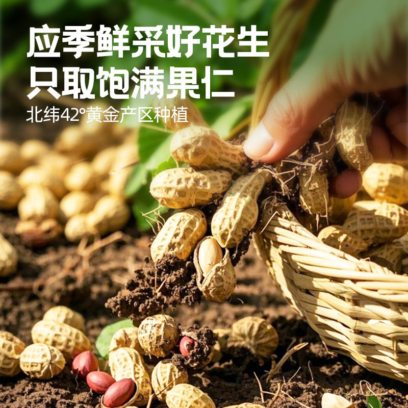 风味酥脆花生仁干果批货婚礼伴手礼品花生米休闲零食薯片口味坚果
