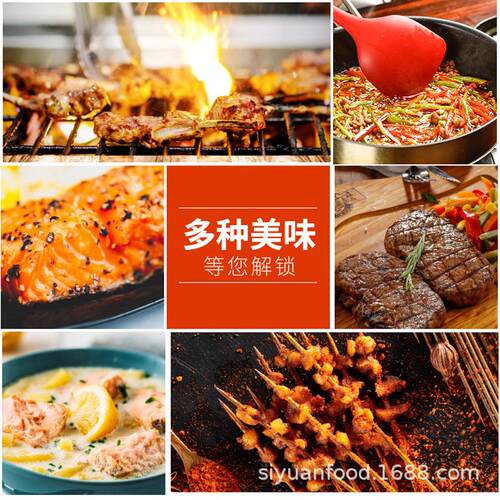 BBQ seasoning商用餐饮腌料烤肉蘸料干料Medium spicy454g