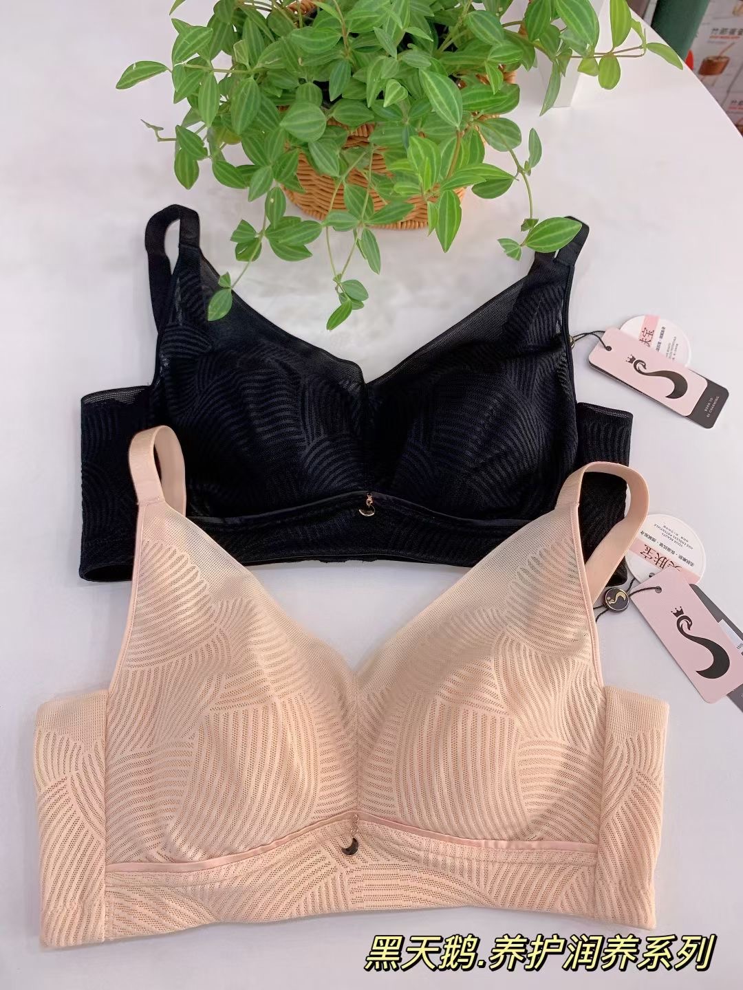 美人计黑天鹅文胸6306