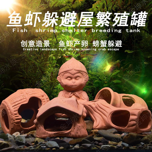 鱼缸造景胡子产卵躲避陶罐