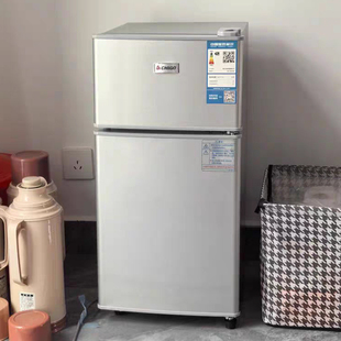 志高小冰箱一级节能家用省电小型租房宿舍用办公室迷你双门电冰箱