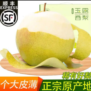 正宗山西隰县新鲜当季玉露香梨脆甜多汁皮薄肉厚特级送礼优选