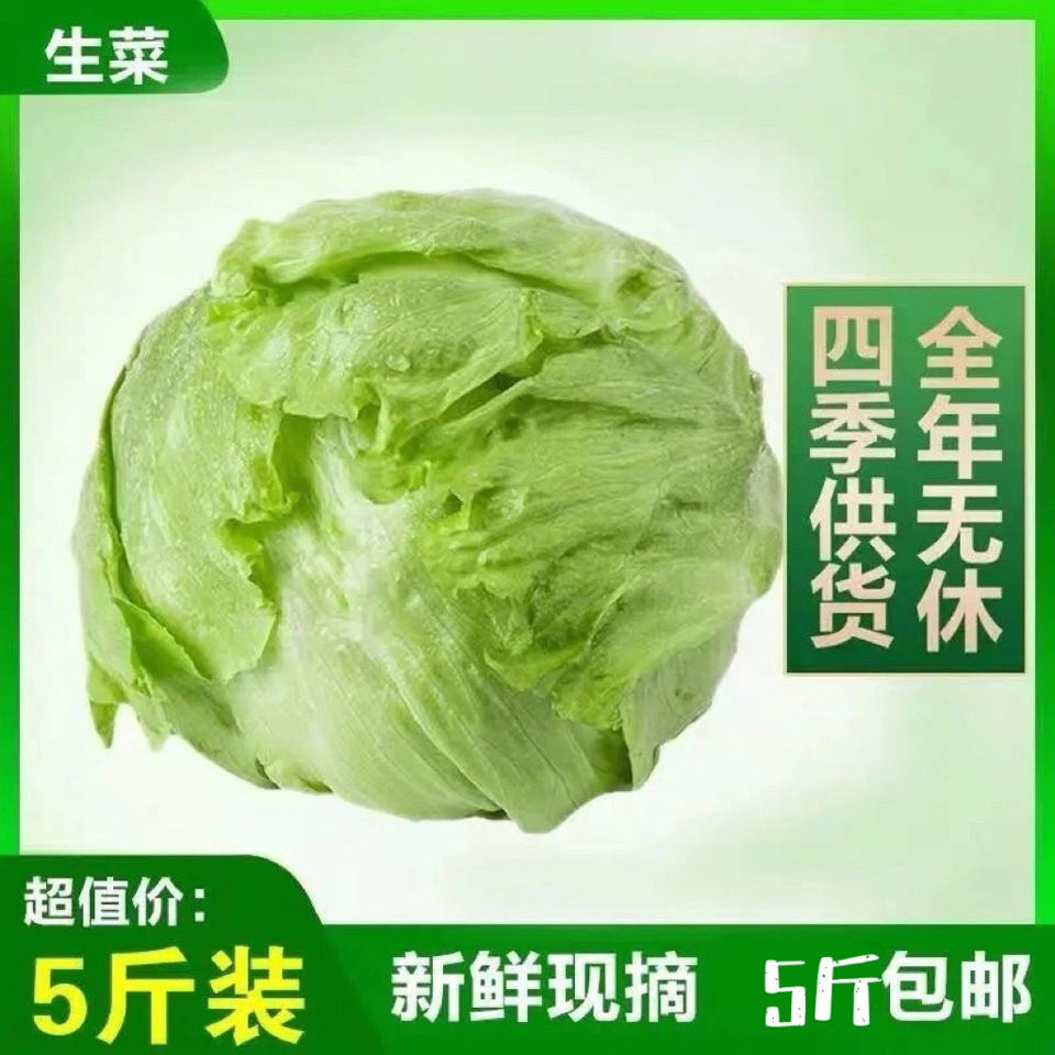 云南球生菜5/7斤即食包邮