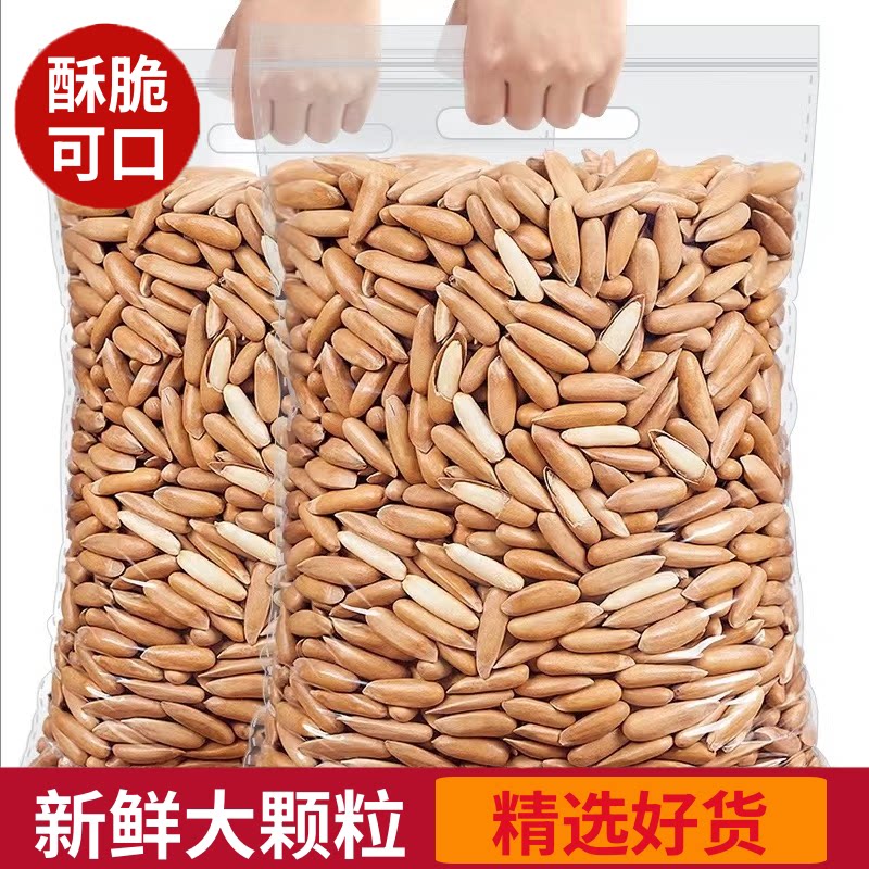 2025新货手剥巴西松子500g大颗粒阿富汗松子开口坚果批发散装整箱