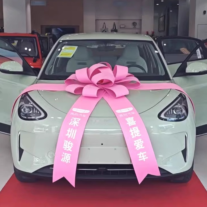 零跑汽车大蝴蝶结紫色交车大红花