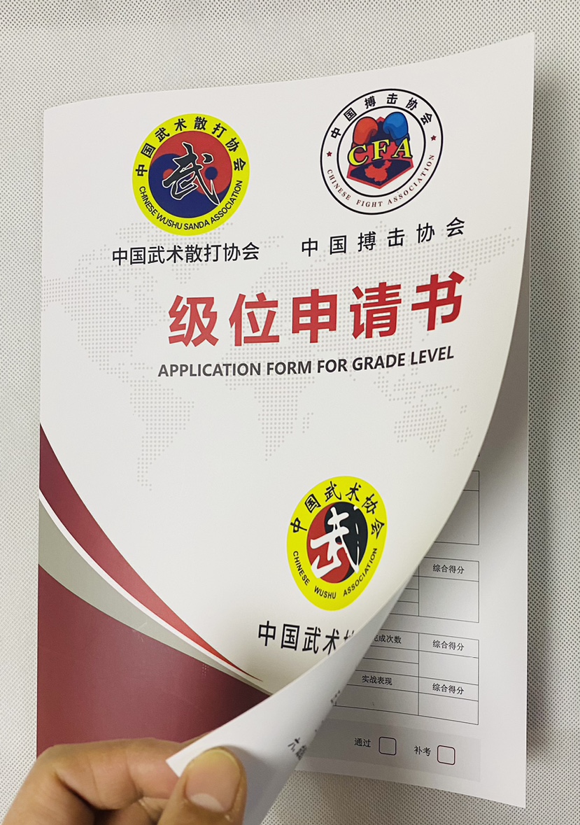 搏击考级散打考级武术考级申请书申请表单考级评审表搏击晋级申请
