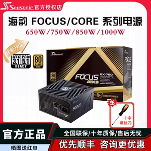 海韵CORE GX750W 650W电源FOCUS台式机电脑电源850w主机金牌1000W