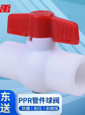 冰禹BJjj-225PPR球阀自来水管件配件阀门平口水阀颜色随机25