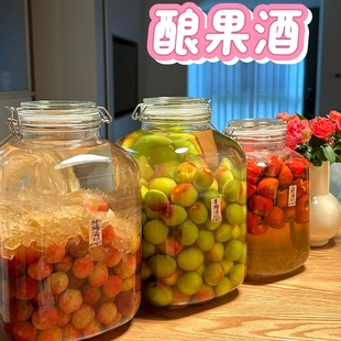 泡酒玻璃瓶葡萄酒瓶空瓶自酿果酒专用发酵桶大容量密封罐酒罐容器