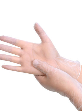 兰诗（LAUTEE）PC2004一次性手套非乳胶手套无粉PVC手套100只/盒X