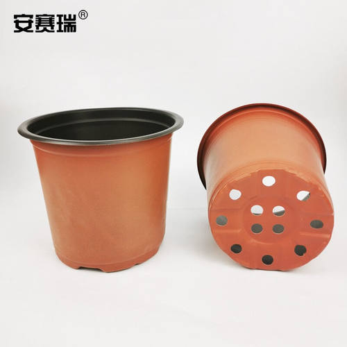 安赛瑞一次性双色盆栽（200个起）花卉盆栽营养钵育苗一次性塑料