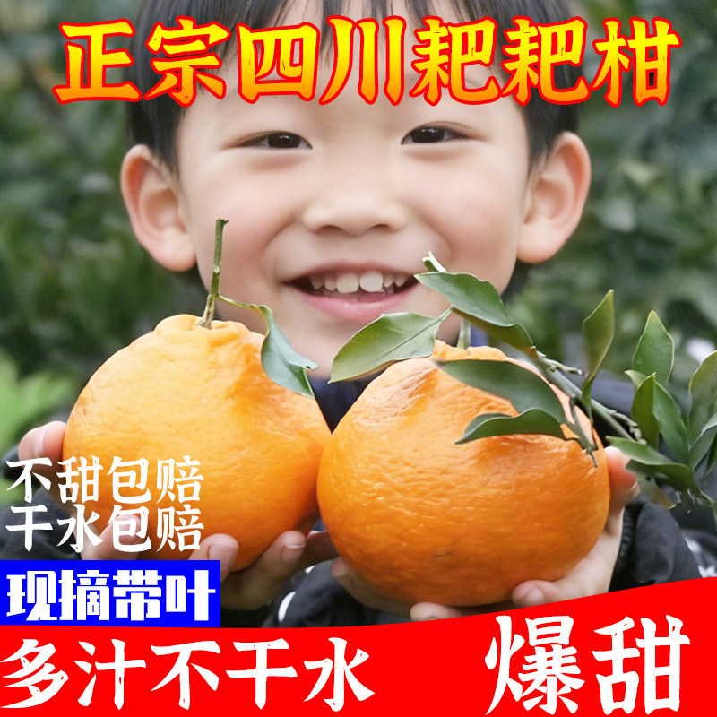 四川春见耙耙柑粑粑柑杷杷柑新鲜水果当季整箱桔子旗舰店18斤柑橘