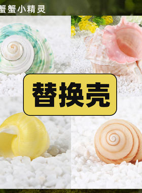 寄居蟹替换壳海螺摆件装饰备用