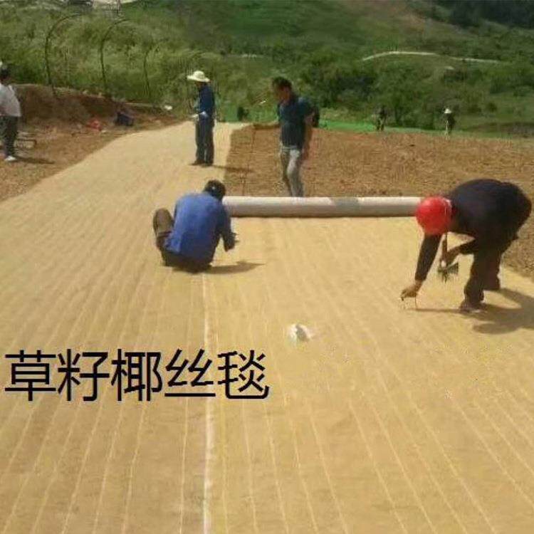 带草籽植物纤维毯 公路护坡园林绿化椰丝纤维植草毯图片
