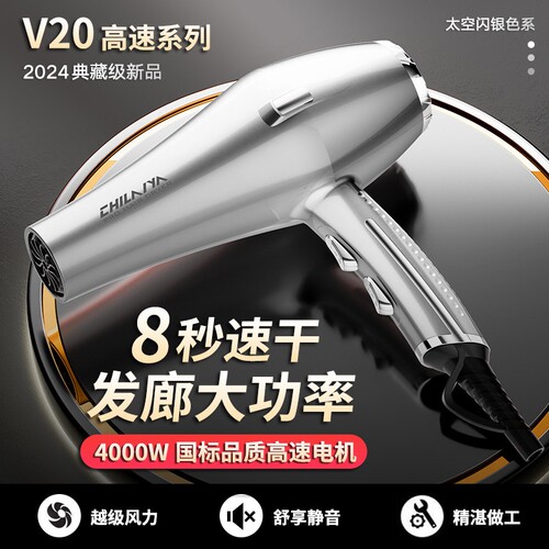 德国电吹风机家用大功率发廊专用