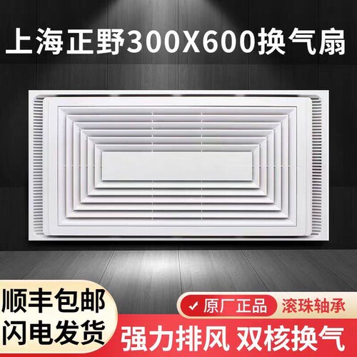 上海正野300X600集成吊顶排气大