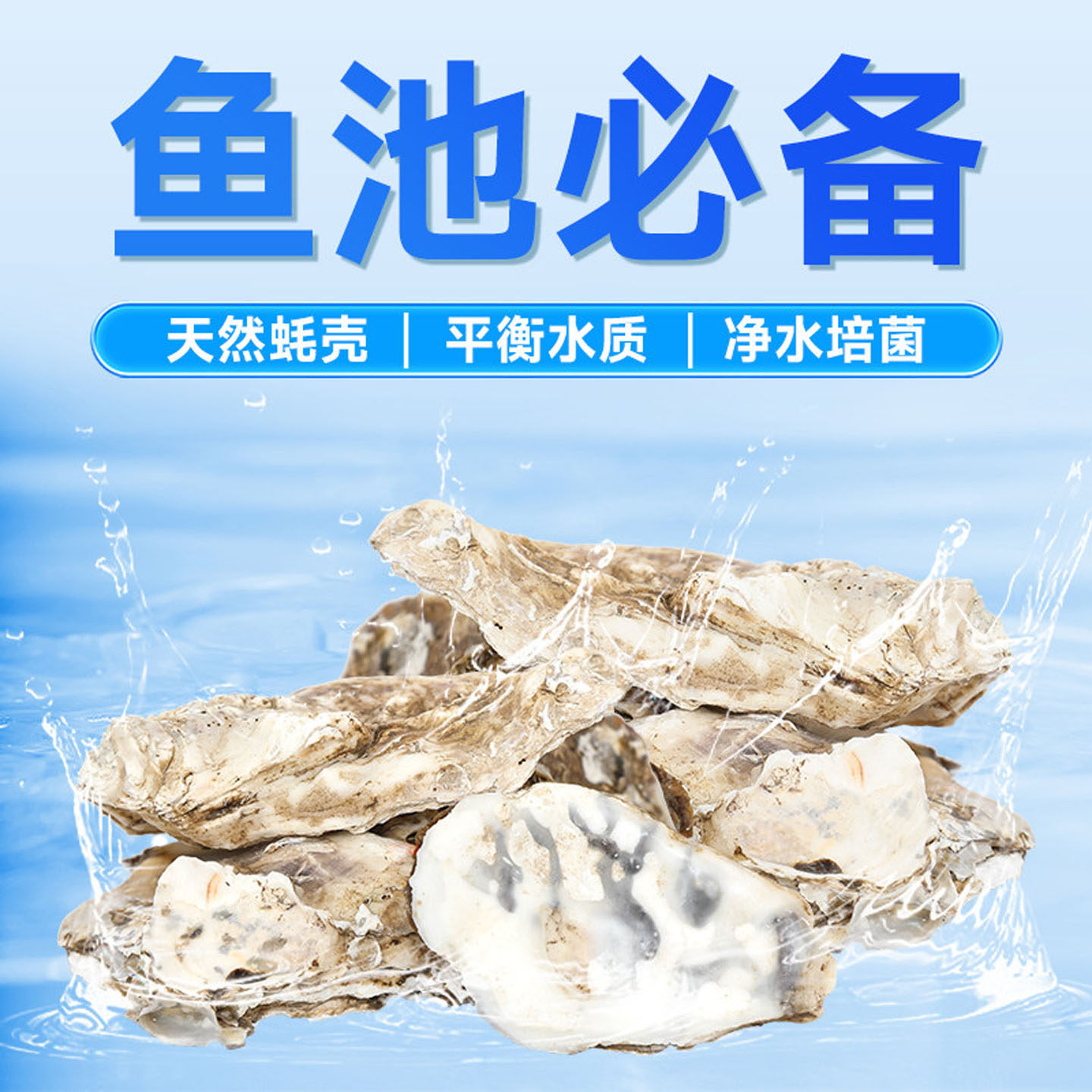 天然生蚝壳贝壳装饰造景工艺品锦鲤鱼池龟过滤仓滤材调节净化水质