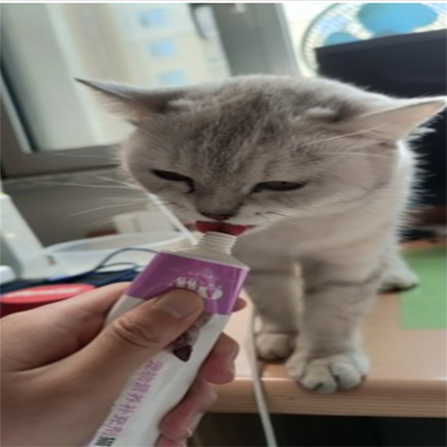 宠有为化毛膏猫咪营养膏排毛球