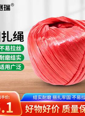 安赛瑞塑料捆扎绳仓库搬家打包绳1卷150g红色EA200456