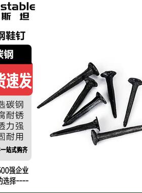 稳斯坦WSX218黑色鞋钉方形小铁钉修鞋钉16毫米(一公斤)约3500枚