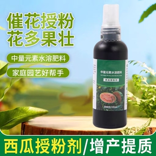 西瓜授粉专用药点花坐果灵授粉点花剂保花保果增产防落增产营养肥
