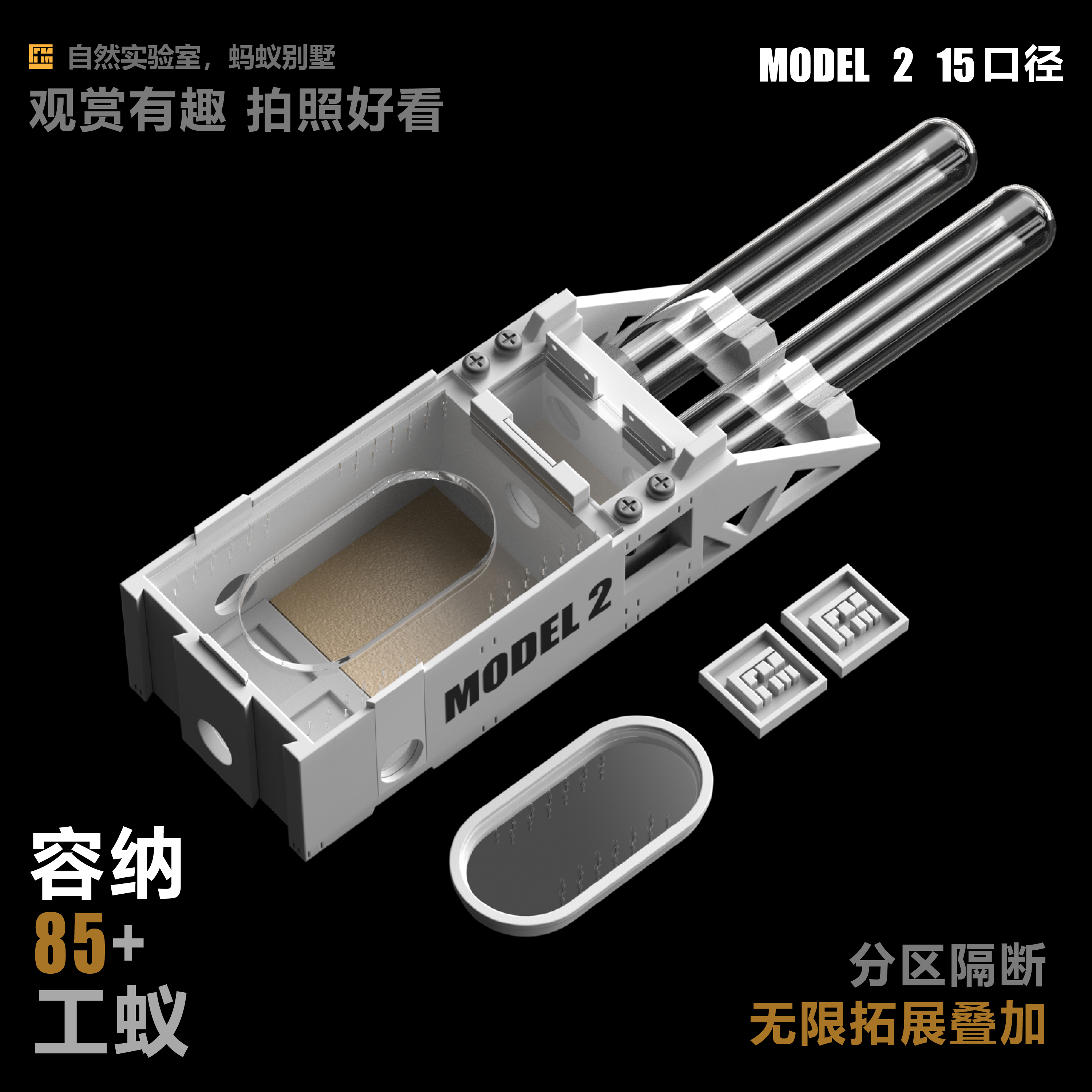 自然实验室蚁巢试管巢图片
