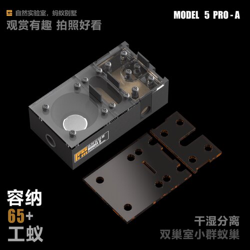 保湿巢，黑金弓背收获蚁超适配