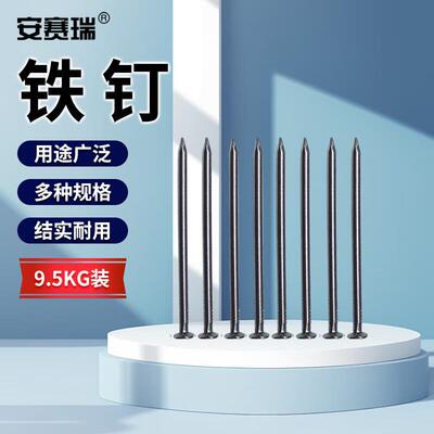 安赛瑞铁钉铁钉子木板钉1寸25mm(9.5kg装)22274