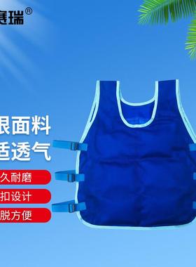 安赛瑞夏季降温马甲厨师环卫工地高温防暑凉背心蓝色10件装均码3F