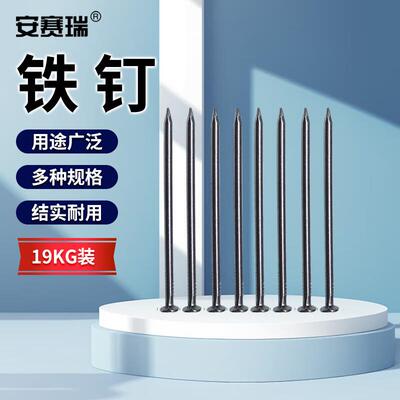 安赛瑞铁钉铁钉子圆钉洋钉木板钉5寸125mm(19kg装)22282
